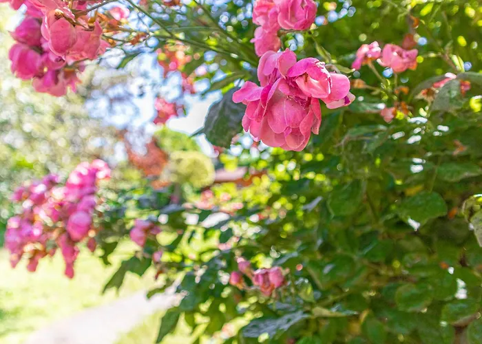 Private In Elegant Garden With Free Parking Vídeň